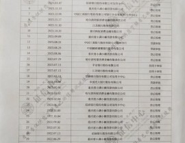 网贷大数据信誉陈述,揭秘个人信誉情况的“第二视角”