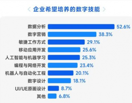 大数据技能与使用作业,大数据技能与使用作业远景概述