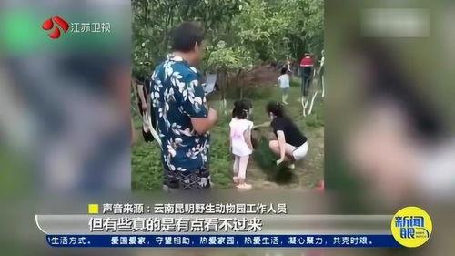 南京游客爆料视频最新,惊现“神秘”景点，网友热议！  第2张
