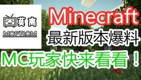 mc最新爆料视频,游戏新内容与更新前瞻  第1张