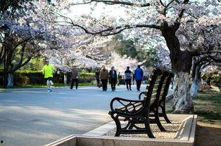 中山公园最新爆料信息,神秘古建筑群惊现，历史之谜待解  第2张