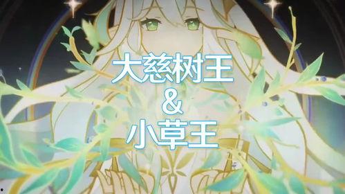 大慈树王爆料视频大全,揭秘神秘事件背后的真相  第2张 大慈树王爆料视频大全,揭秘神秘事件背后的真相  第2张