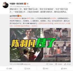 爆料徐良一寸光年视频,穿越时空的浪漫旋律  第2张