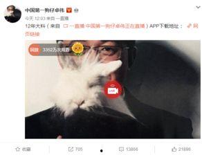 真实爆料白百何事件视频  第3张 真实爆料白百何事件视频  第3张
