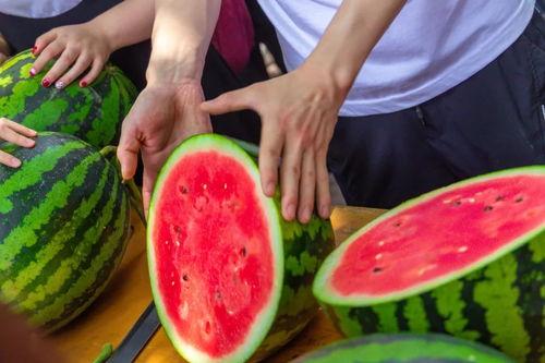 吃瓜渠道免费,免费吃瓜,独家爆料,带你领略明星幕后故事  第2张 吃瓜渠道免费,免费吃瓜,独家爆料,带你领略明星幕后故事  第2张