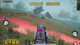 和平精英最新版本大爆料,全新内容大曝光,战局再升级!