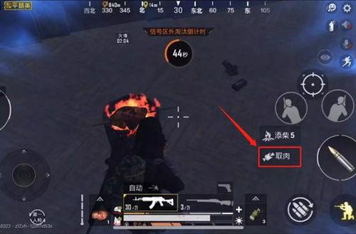 和平精英最新版本大爆料,全新内容大曝光,战局再升级!  第3张 和平精英最新版本大爆料,全新内容大曝光,战局再升级!  第3张